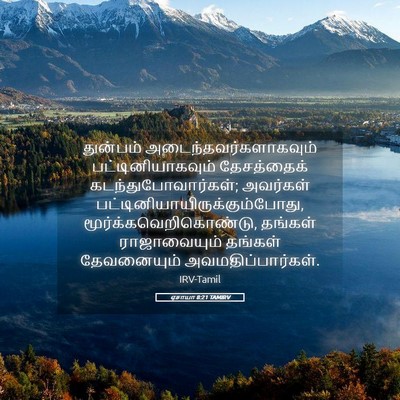 Picture 05 - ஏசாயா 8:21 TAMIRV - துன்பம் - Bible Verse Picture