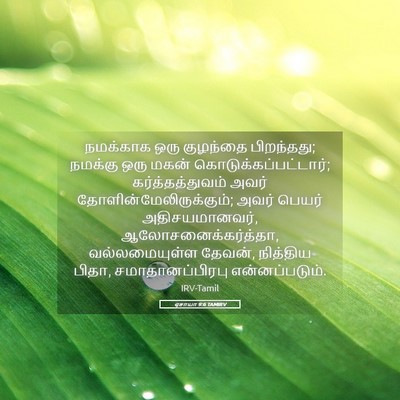 Picture 05 - ஏசாயா 9:6 TAMIRV - நமக்காக ஒரு - Bible Verse Picture