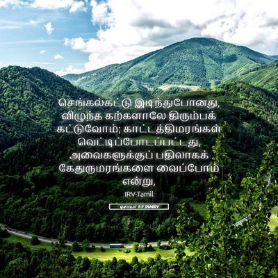Picture 05 - ஏசாயா 9:9 TAMIRV - செங்கல்கட்டு - Bible Verse Picture
