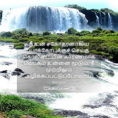 Picture 05 - ஒபதியா 1:10 TAMIRV - நீ உன் சகோதரனாகிய - Bible Verse Picture