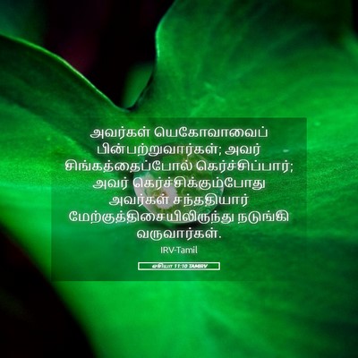 Picture 05 - ஓசியா 11:10 TAMIRV - அவர்கள் - Bible Verse Picture