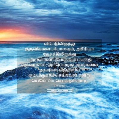 Picture 05 - ஓசியா 11:11 TAMIRV - எகிப்திலிருந்து - Bible Verse Picture