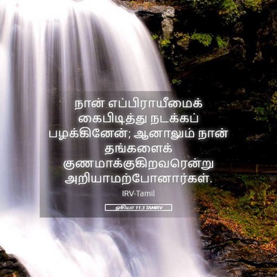 Picture 05 - ஓசியா 11:3 TAMIRV - நான் - Bible Verse Picture