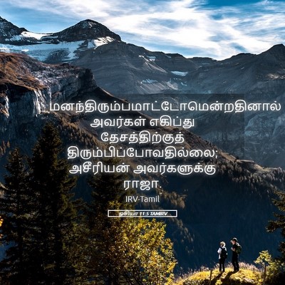Picture 05 - ஓசியா 11:5 TAMIRV -  - Bible Verse Picture