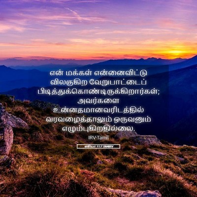 Picture 05 - ஓசியா 11:7 TAMIRV - என் மக்கள் - Bible Verse Picture