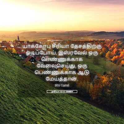 Picture 05 - ஓசியா 12:12 TAMIRV - யாக்கோபு சீரியா - Bible Verse Picture