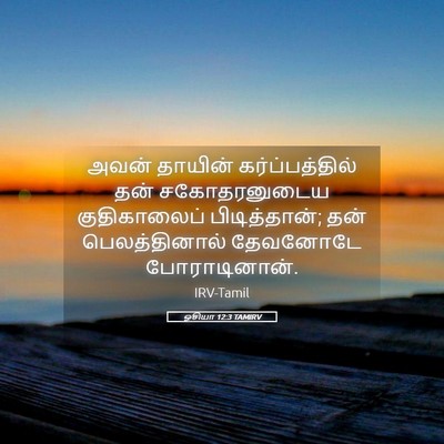 Picture 05 - ஓசியா 12:3 TAMIRV - அவன் தாயின் - Bible Verse Picture