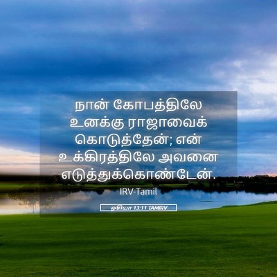 Picture 05 - ஓசியா 13:11 TAMIRV - நான் கோபத்திலே - Bible Verse Picture