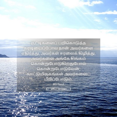 Picture 05 - ஓசியா 13:8 TAMIRV - குட்டிகளைப் - Bible Verse Picture