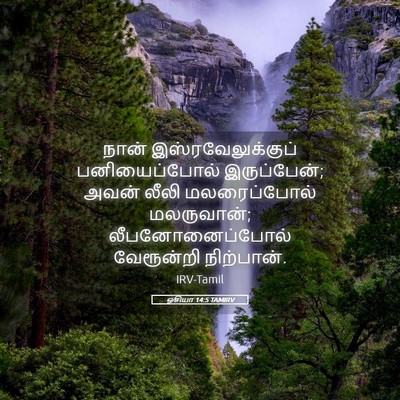 Picture 05 - ஓசியா 14:5 TAMIRV - நான் - Bible Verse Picture