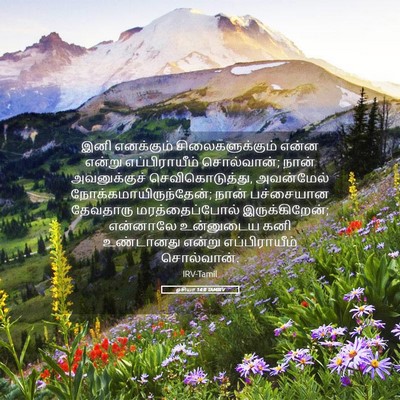 Picture 05 - ஓசியா 14:8 TAMIRV - இனி எனக்கும் - Bible Verse Picture
