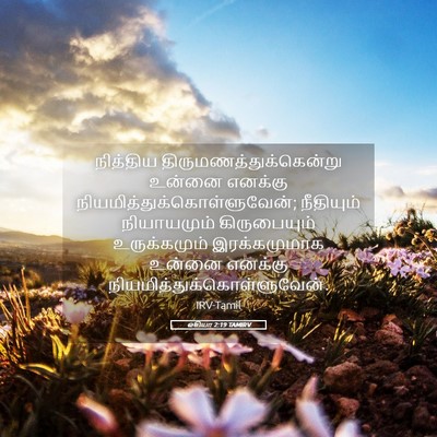 Picture 05 - ஓசியா 2:19 TAMIRV - நித்திய - Bible Verse Picture