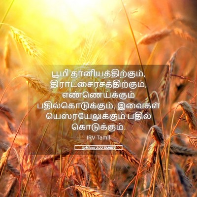 Picture 05 - ஓசியா 2:22 TAMIRV - பூமி - Bible Verse Picture