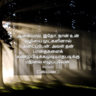 Picture 05 - ஓசியா 2:6 TAMIRV - ஆகையால், இதோ, நான் - Bible Verse Picture