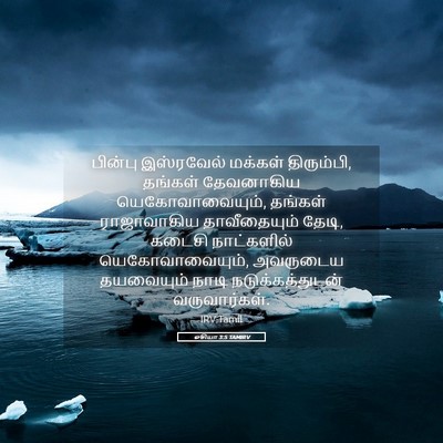 Picture 05 - ஓசியா 3:5 TAMIRV - பின்பு இஸ்ரவேல் - Bible Verse Picture