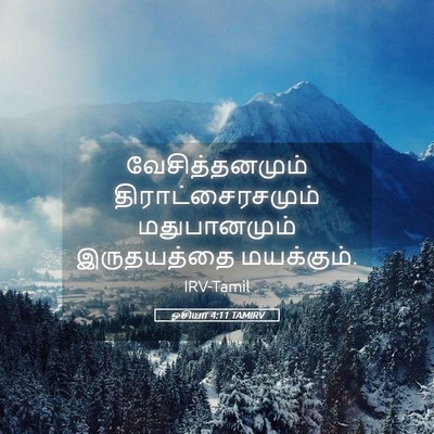 Picture 05 - ஓசியா 4:11 TAMIRV - வேசித்தனமும் - Bible Verse Picture