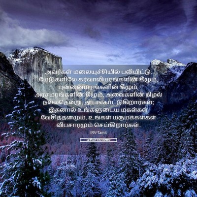 Picture 05 - ஓசியா 4:13 TAMIRV - அவர்கள் - Bible Verse Picture