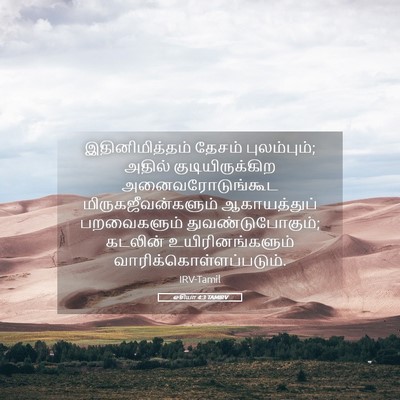 Picture 05 - ஓசியா 4:3 TAMIRV - இதினிமித்தம் - Bible Verse Picture