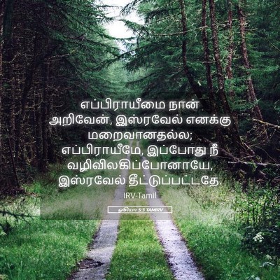 Picture 05 - ஓசியா 5:3 TAMIRV - எப்பிராயீமை நான் - Bible Verse Picture