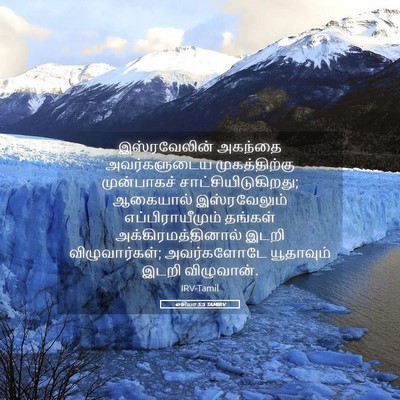 Picture 05 - ஓசியா 5:5 TAMIRV - இஸ்ரவேலின் அகந்தை - Bible Verse Picture
