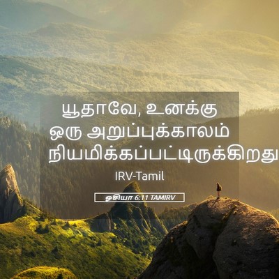 Picture 05 - ஓசியா 6:11 TAMIRV - யூதாவே, உனக்கு ஒரு - Bible Verse Picture