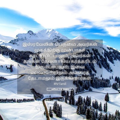 Picture 05 - ஓசியா 7:10 TAMIRV - இஸ்ரவேலின் பெருமை - Bible Verse Picture