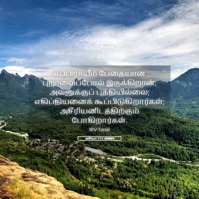 Picture 05 - ஓசியா 7:11 TAMIRV - எப்பிராயீம் - Bible Verse Picture