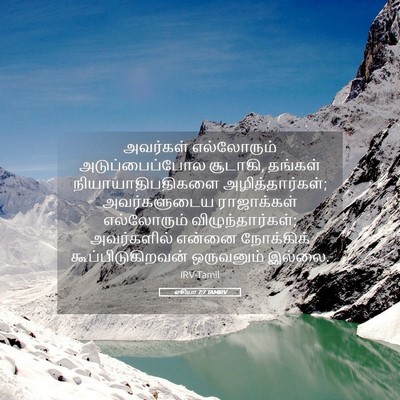 Picture 05 - ஓசியா 7:7 TAMIRV - அவர்கள் எல்லோரும் - Bible Verse Picture