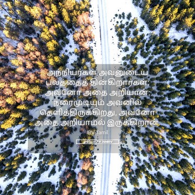 Picture 05 - ஓசியா 7:9 TAMIRV - அந்நியர்கள் - Bible Verse Picture