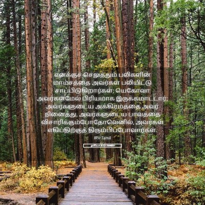 Picture 05 - ஓசியா 8:13 TAMIRV - எனக்குச் - Bible Verse Picture