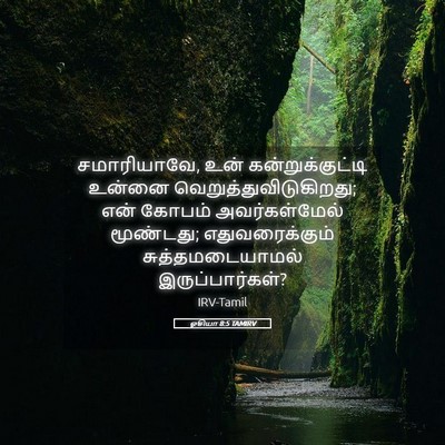 Picture 05 - ஓசியா 8:5 TAMIRV - சமாரியாவே, உன் - Bible Verse Picture