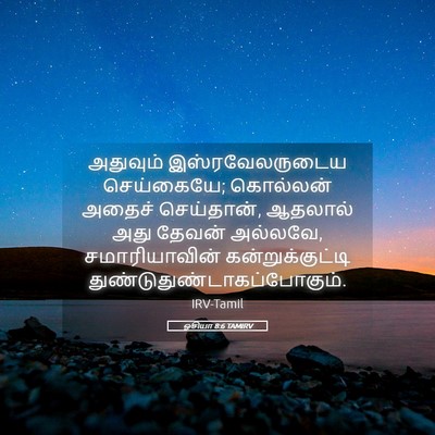 Picture 05 - ஓசியா 8:6 TAMIRV - அதுவும் - Bible Verse Picture
