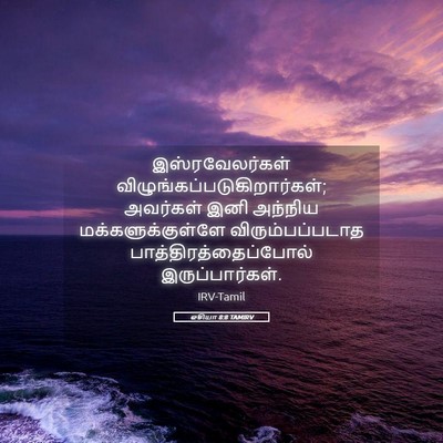 Picture 05 - ஓசியா 8:8 TAMIRV - இஸ்ரவேலர்கள் - Bible Verse Picture