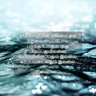 Picture 05 - ஓசியா 9:11 TAMIRV - எப்பிராயீமின் - Bible Verse Picture