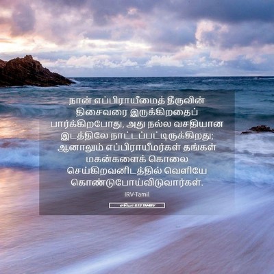 Picture 05 - ஓசியா 9:13 TAMIRV - நான் - Bible Verse Picture