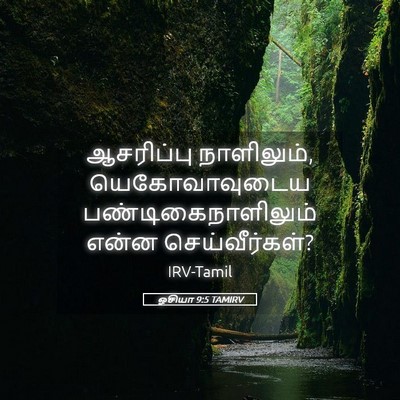 Picture 05 - ஓசியா 9:5 TAMIRV - ஆசரிப்பு - Bible Verse Picture