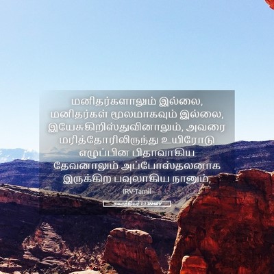 Picture 05 - கலாத்தியர் 1:1 TAMIRV - மனிதர்களாலும் - Bible Verse Picture