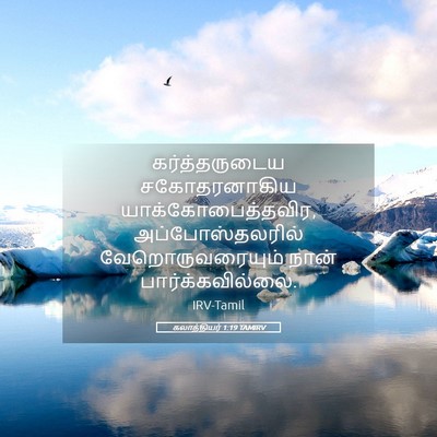 Picture 05 - கலாத்தியர் 1:19 TAMIRV - கர்த்தருடைய - Bible Verse Picture