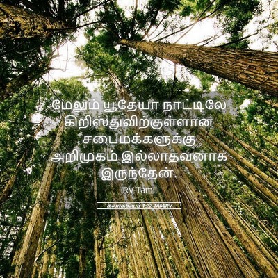 Picture 05 - கலாத்தியர் 1:22 TAMIRV - மேலும் யூதேயா - Bible Verse Picture