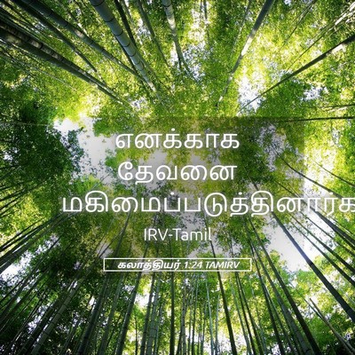 Picture 05 - கலாத்தியர் 1:24 TAMIRV - எனக்காக தேவனை - Bible Verse Picture