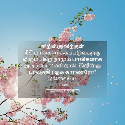 Picture 05 - கலாத்தியர் 2:17 TAMIRV - கிறிஸ்துவிற்குள் - Bible Verse Picture
