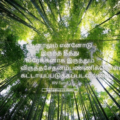 Picture 05 - கலாத்தியர் 2:3 TAMIRV - ஆனாலும் என்னோடு - Bible Verse Picture