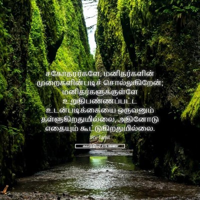 Picture 05 - கலாத்தியர் 3:15 TAMIRV - சகோதரர்களே, - Bible Verse Picture
