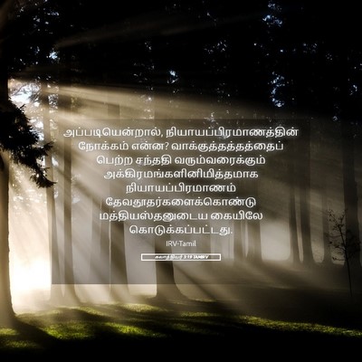 Picture 05 - கலாத்தியர் 3:19 TAMIRV - அப்படியென்றால், - Bible Verse Picture