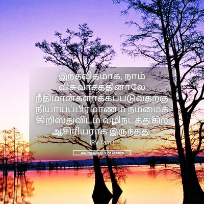 Picture 05 - கலாத்தியர் 3:24 TAMIRV - இந்தவிதமாக, நாம் - Bible Verse Picture