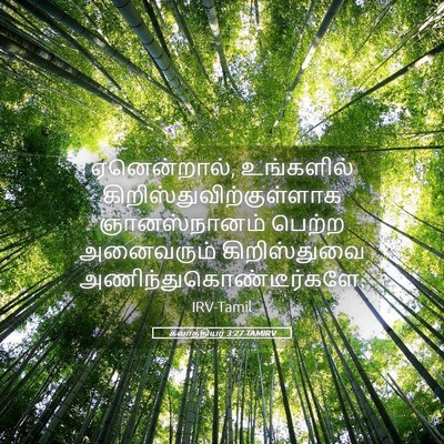 Picture 05 - கலாத்தியர் 3:27 TAMIRV - ஏனென்றால், - Bible Verse Picture