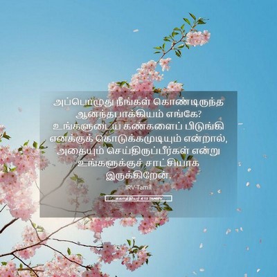 Picture 05 - கலாத்தியர் 4:15 TAMIRV - அப்பொழுது நீங்கள் - Bible Verse Picture