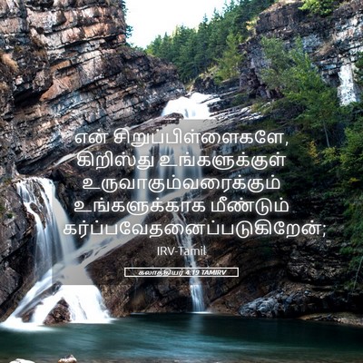 Picture 05 - கலாத்தியர் 4:19 TAMIRV - என் - Bible Verse Picture