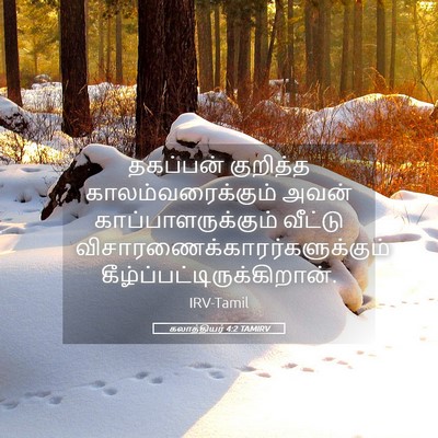 Picture 05 - கலாத்தியர் 4:2 TAMIRV - தகப்பன் குறித்த - Bible Verse Picture