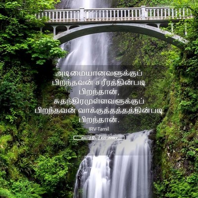 Picture 05 - கலாத்தியர் 4:23 TAMIRV -  - Bible Verse Picture